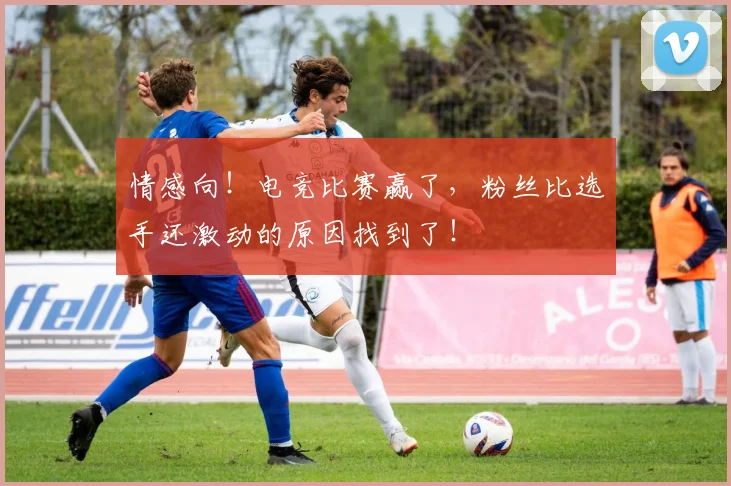 情感向!电竞比赛赢了,粉丝比选手还激动的原因找到了!