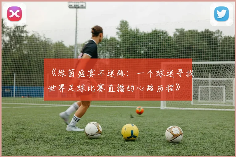 《绿茵盛宴不迷路：一个球迷寻找世界足球比赛直播的心路历程》